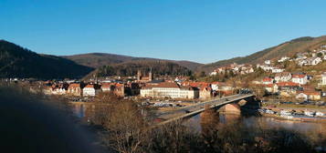 Maisonette Wohnung in Eberbach