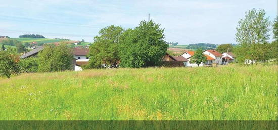 Großes Grundstück mit Abbruchhaus