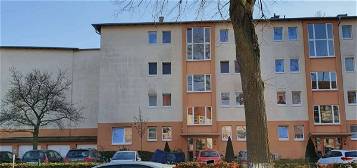 Gepflegte 2-Zimmer-Wohnung mit Balkon in Berlin Tegel (Reinickendorf) in der Nähe des Tegler Sees