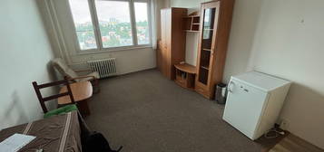 Pronájem bytu 1+kk 28 m², Nad Lesním divadlem, Hlavní město Praha