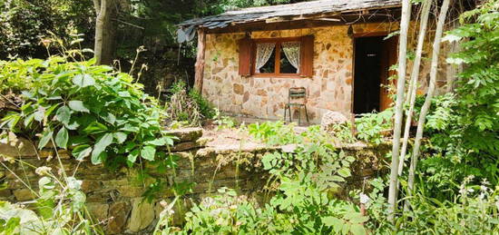 Rare, maisonnette à rénover entièrement au coeur du Parc National des Cévennes pour les amoureux de la nature