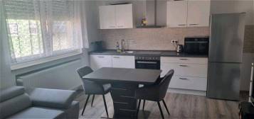 2 Zimmer Wohnung mit Küchenzeile 41qm komplett Saniert