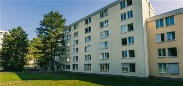 1-Zimmer-Wohnung in Mannheim