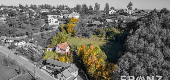 Rodinný dům, 250 m² + 4559 m² pozemek, Spálov