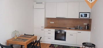 Pronájem bytu 2+kk 54 m² (Jednopodlažní)