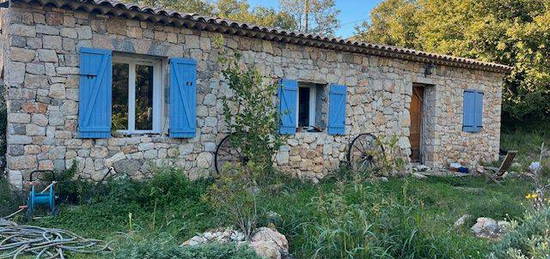 Maison au calme avec 4000 mètres de terrain