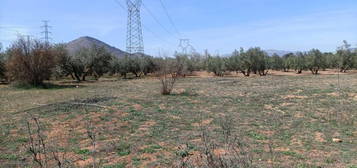 Finca rústica en venta en Albolote