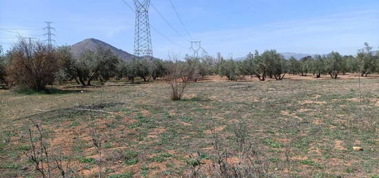 Finca rústica en venta en Albolote