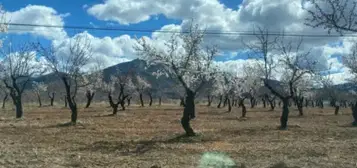 Finca r&#xFA;stica en Rambla de Valdiqu&#xED;n, 4