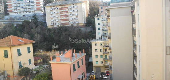 Quadrilocale in affitto a San Fruttuoso