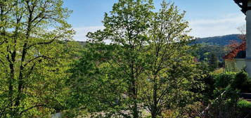 Ersetze Stadtgewühl durch Blick auf Hinterbrühl