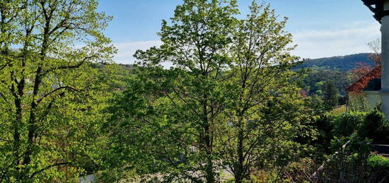 Ersetze Stadtgewühl durch Blick auf Hinterbrühl