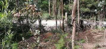 Moradia Devoluta T2 Venda em São Miguel do Souto e Mosteirô,Santa Mari