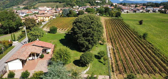 Villa unifamiliare via Fratelli Calabria, Centro, Adro