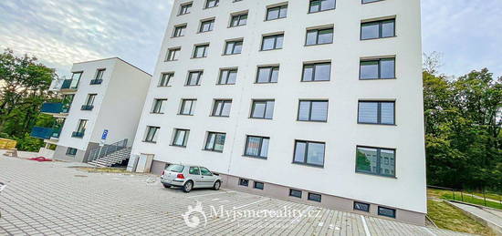 Pronájem bytu 1+1 42 m²