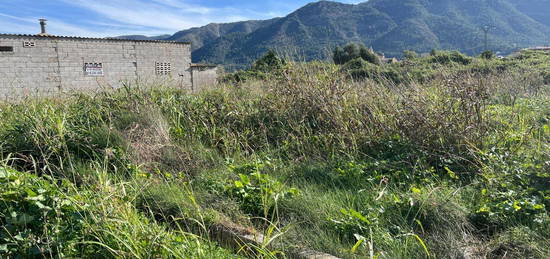 Finca rústica en venta en Simat de la Valldigna