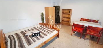 Apartament cu o camera | pet friendly |  zona Gheorgheni