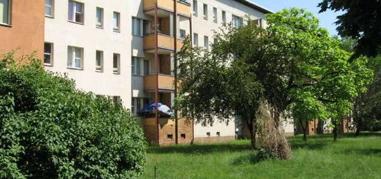 Handwerkliches Geschick erforderlich - oberste Etage - helle Wohnung mit Wohnküche