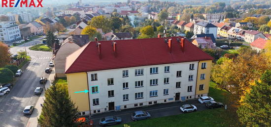 Prodej bytu 2+1 v osobním vlastnictví 57 m², Planá