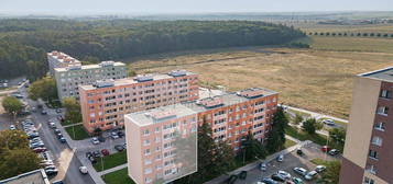 Prodej bytu 3+1 54 m²