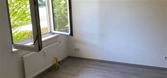 Helles 1 Zimmer Apartment in Heidelberg Ziegelhausen mit EBK u Bad