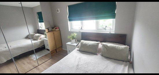 1 bed flat to rent