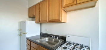 4641 N Paulina St Unit CL405, Chicago, IL 60640