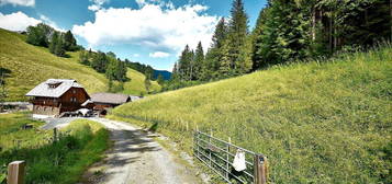 Bauernhaus Carinziana in VILLACH LAND