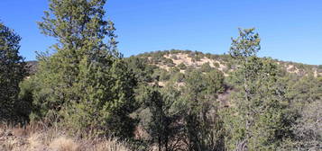 Tract 3 Xx Nizohni Loop, Silver City, NM 88061