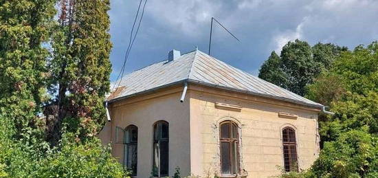 Casa si teren 2900 mp stradal, Mihaesti