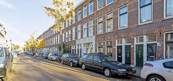 Fahrenheitstraat 213