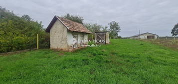 Eladó ház, Zics
