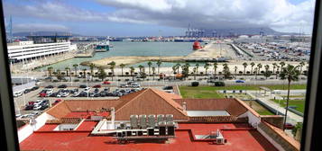 Algeciras