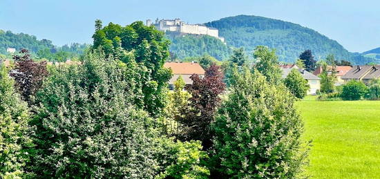 SANIERUNGSBEDÜRFTIGE Wohnung in Gneis am Grünland