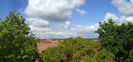 1-Raum-Wohnung mit Balkon