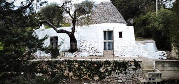 Trullo 88 Strada Paretone zona I, Martina Franca