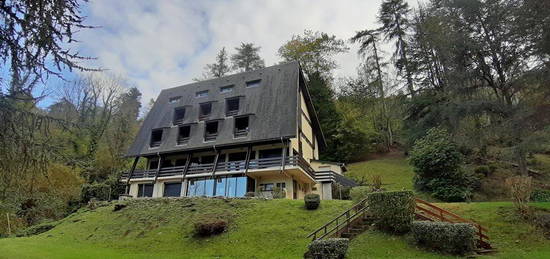 Appartement avec vue sur la vallée d'Ossau