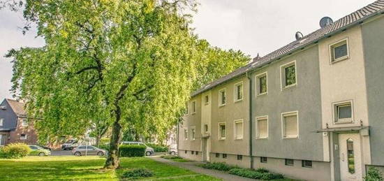 Renovierte Erdgeschosswohnung in zentraler Lage sucht neuen Mieter