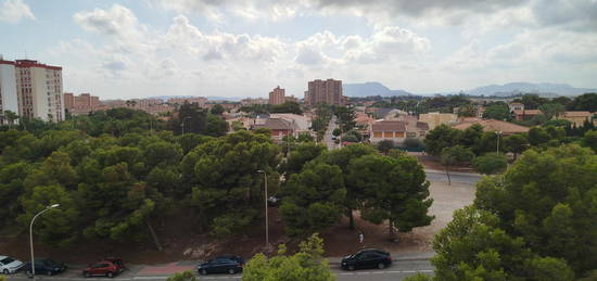 Alacant