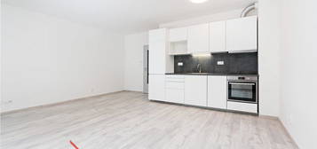 Pronájem bytu 1+kk 37 m²