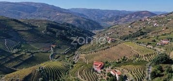 Quinta de cima em Vila Cova - Mesão Frio, Douro Vinhateiro