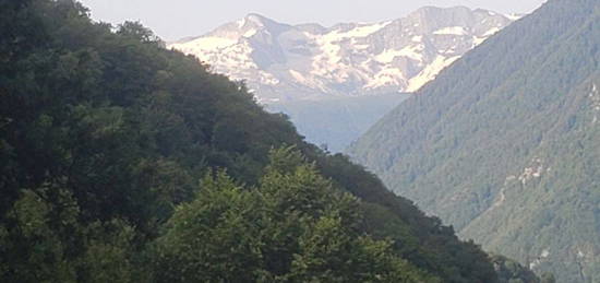 Grange foraine avec 1,5 hectare bagneres de luchon 31110