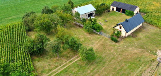 Sprzedam siedlisko 5,3 ha niedaleko Uniejowa