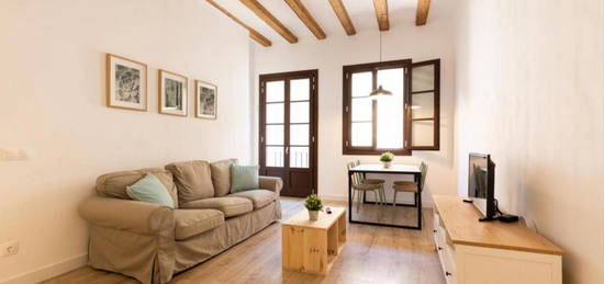 Apartamento de alquiler en El Raval