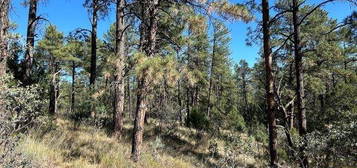 Dixwood Dr, Timberon, NM 88350