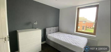 1 bedroom house share