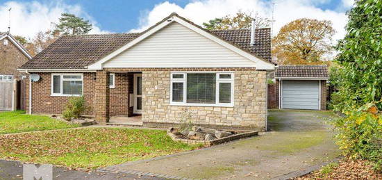 Detached bungalow for sale in Coppice Close, St. Ives, Ringwood BH24