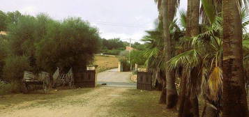 Casa rural en Sineu