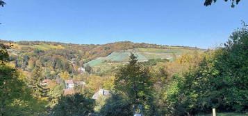 Gelegenheit: Winzerhaus + tolles sonniges Grundstück in zentraler/ ruhiger Lage in Klosterneuburg/ Weidling