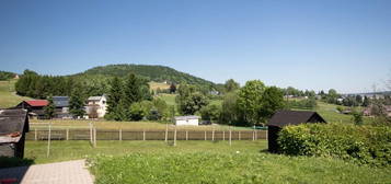 Sonnige 2-Raum-Wohnung in Bärenstein